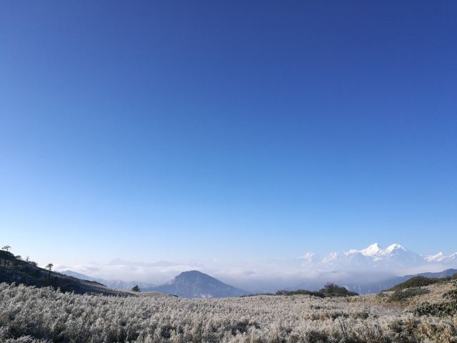 Sirentong