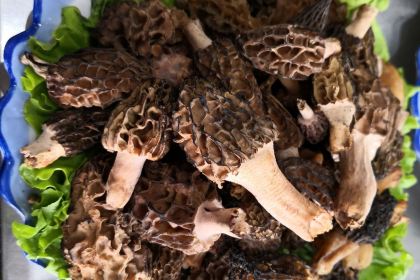 鲁朗何大妈特色石锅