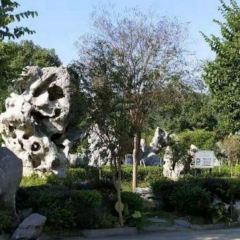 YING DAN YUAN NONG ZHUANG User Photo