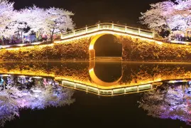 Must-see Attractions