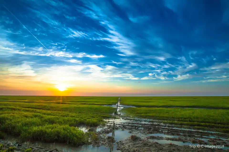 2_Dongtan Wetland Park