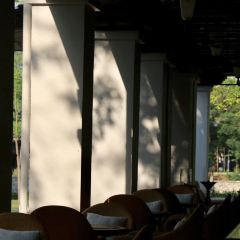 BODHI TERRACE張用戶圖片