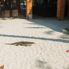 Sabai Beach Restaurant User Photo