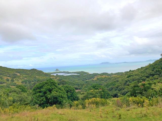 Mokolii