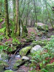 Creek Ridge County Park