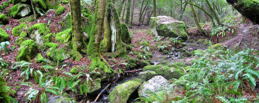 Creek Ridge County Park