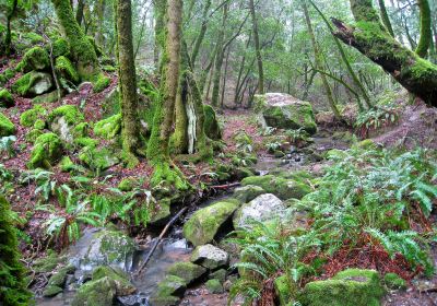 Coolspring Township