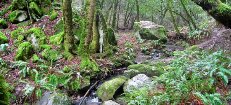 Hotels in Coolspring Township