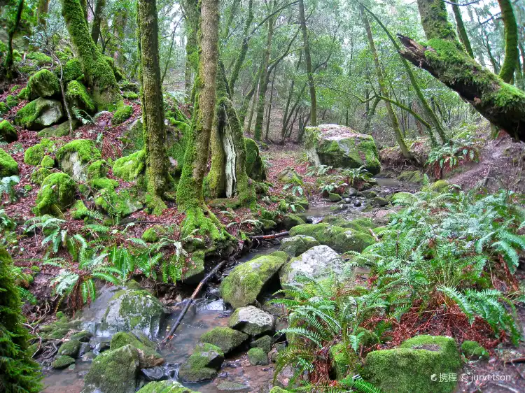 Hotels in Coolspring Township