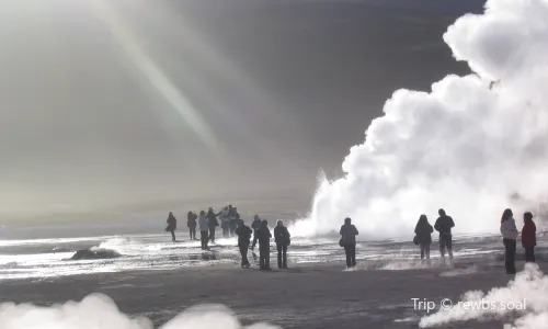 Geyser del Tatio