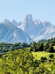 Naranjo de Bulnes