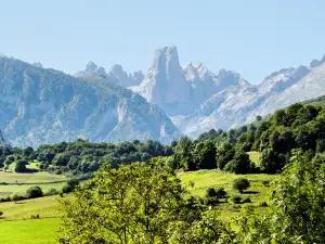 Naranjo de Bulnes