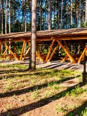 Champlain Area Trails