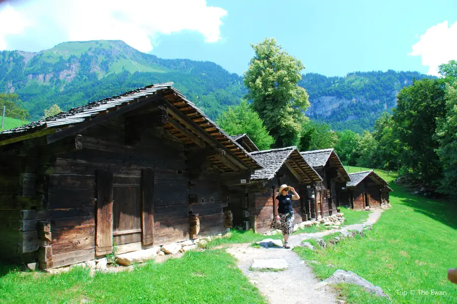 Ballenberg Swiss Open-Air Museum