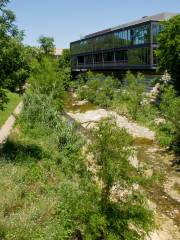 Shoal Creek Greenbelt