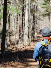 Blue Hills Reservation