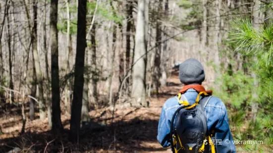 Blue Hills Reservation