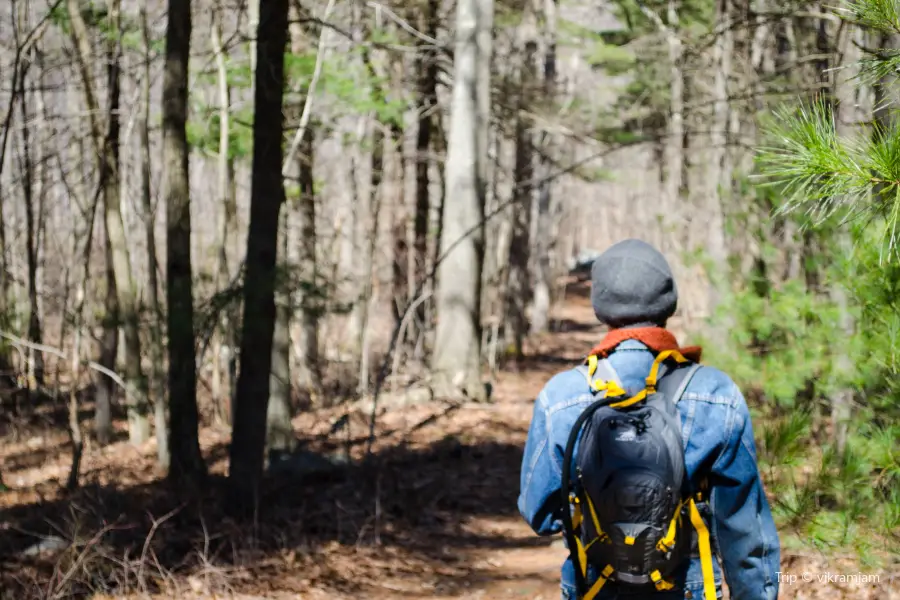 Blue Hills Reservation