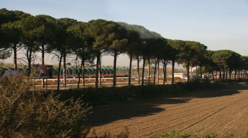 Appian Way