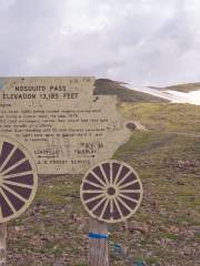 Mosquito Pass