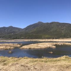 丽芹豆粉店 User Photo