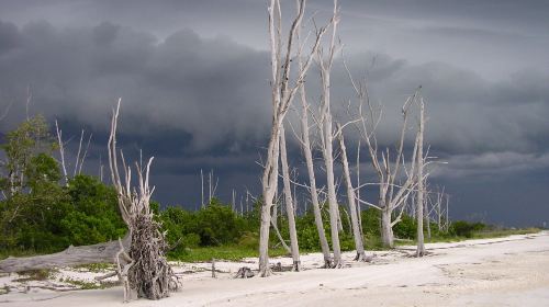 Gulf State Park