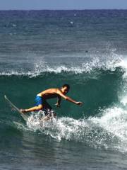 Hawai'i Surf and Kayak