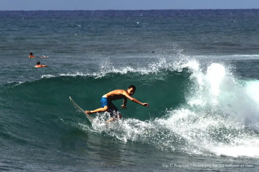 Hawai'i Surf and Kayak