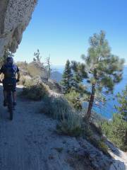 Flume Trail Bikes