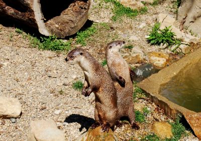 Miller Park Zoo