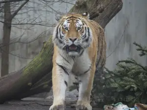 Keepers of the Wild Nature Park