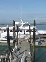 Port Angeles Whale Watch Company