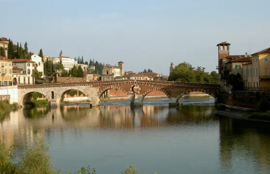 City Sightseeing Verona隨上隨下巴士之旅 - 1 日通票成人