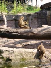 ニュルンベルク動物園