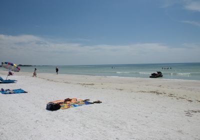 Siesta Key Beach