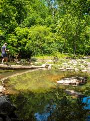 Eno River State Park