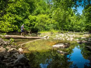 Eno River State Park