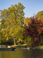 Bois de Vincennes