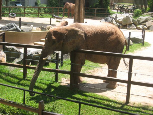 The Maryland Zoo in Baltimore