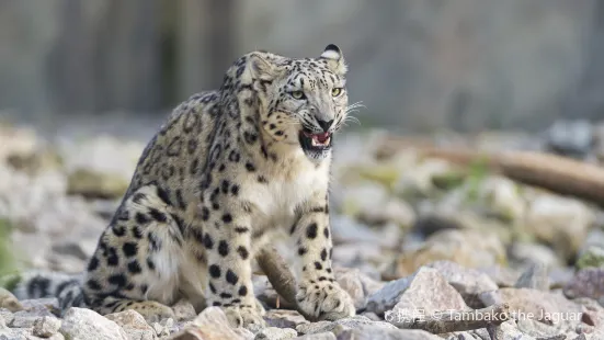 zoo di Karlsruhe