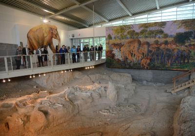 Waco Mammoth National Monument