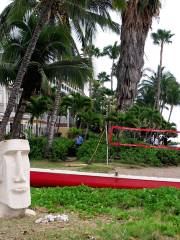 Ali'i Maui Outrigger Canoes