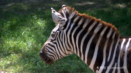 ブランク・パーク動物園