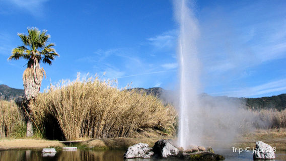 Old Faithful Geyser of California