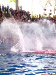 SeaWorld San Antonio