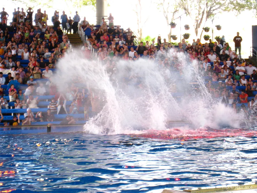 4_SeaWorld San Antonio