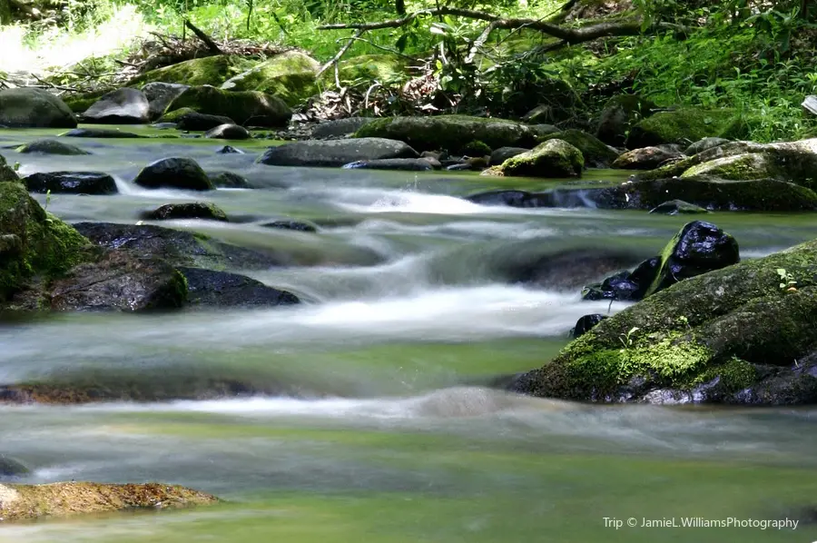 Roan Mountain State Park