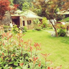 杭州如野民宿(西湖风景区太子湾公园店)·如野·玻璃房子·山野食记(西湖龙井虎跑店) User Photo