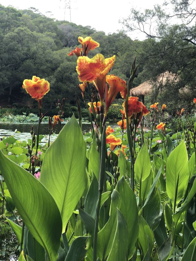 정인곡