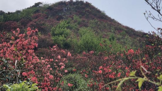 不收门票，山下有停车收费场，山路崎岖陡峭，完全泥路，要有心理